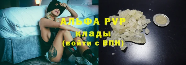 амф Покачи