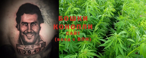 шишки Покров