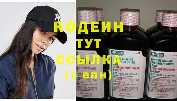 шишки Покров