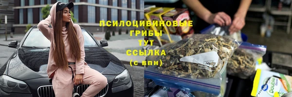 амф Покачи