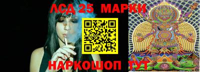 стафф Лесосибирск
