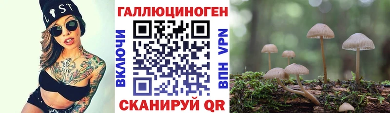 Галлюциногенные грибы Magic Shrooms  Дербент 