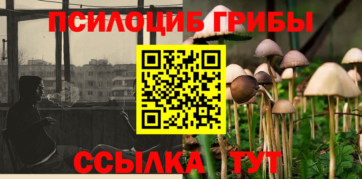 Дербент  магазин  наркотиков  Вход с VPN  Галлюциногенные грибы MAGIC MUSHROOMS  Псилоцибиновые грибы мухоморы 