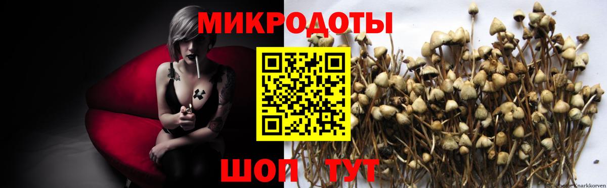 Галлюциногенные грибы мухоморы Дербент